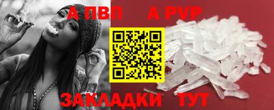 стаф Канаш