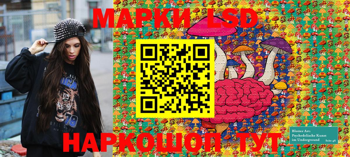 Марки NBOMe  Марки 25I-NBOMe 1,5мг  Вход с VPN  Лесной 