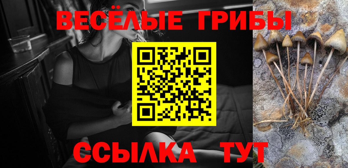 Псилоцибиновые грибы Magic Shrooms  Вход с VPN  Лесной  Псилоцибиновые грибы Psilocybine cubensis 
