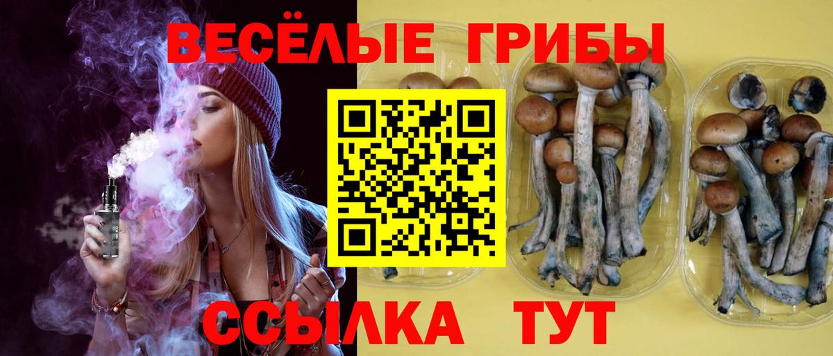 Галлюциногенные грибы GOLDEN TEACHER Лесной